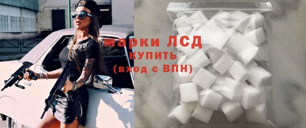 прущий лед Алзамай