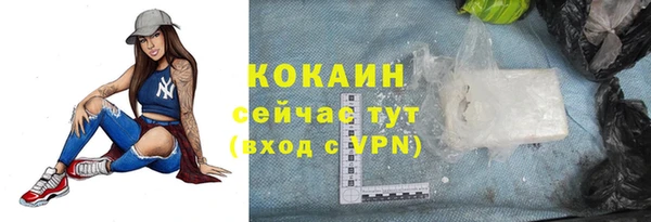 прущий лед Алзамай