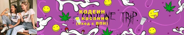 винт Аркадак