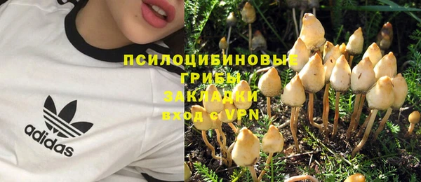 СК Арсеньев