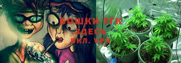 гидра Армянск