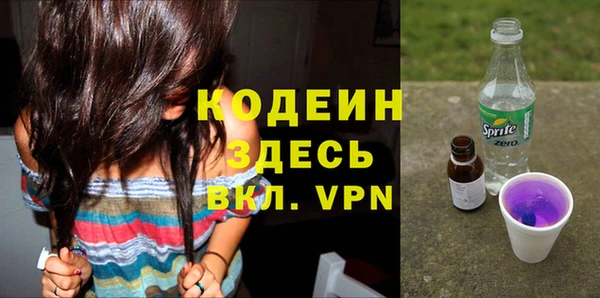прущий лед Алзамай