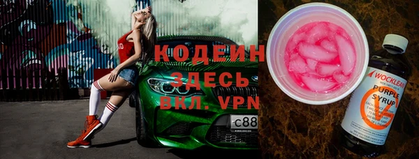 прущий лед Алзамай