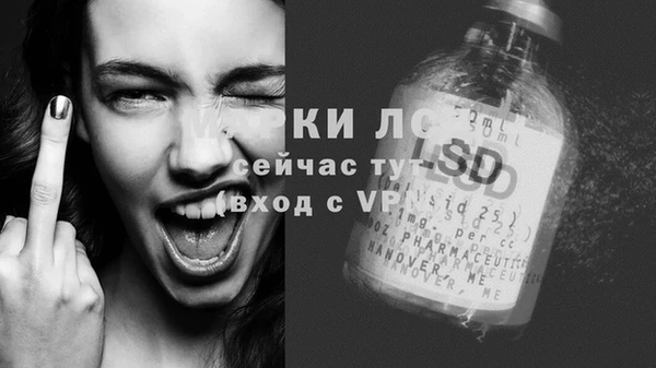 винт Аркадак