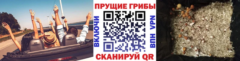 Галлюциногенные грибы прущие грибы  сколько стоит  Белокуриха 