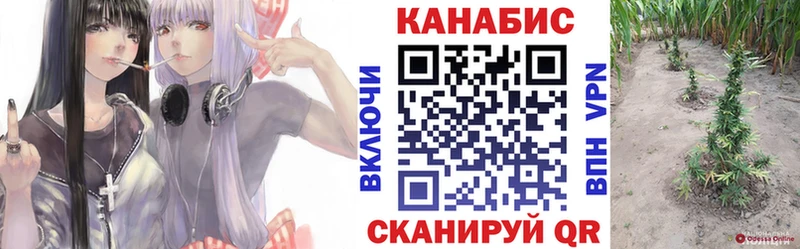 Каннабис тримм  Белокуриха 